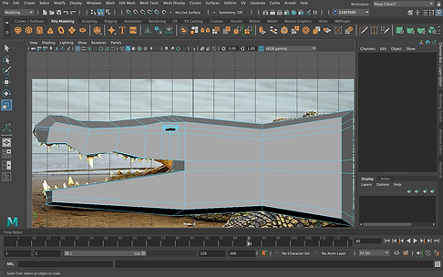 croc 3.png
