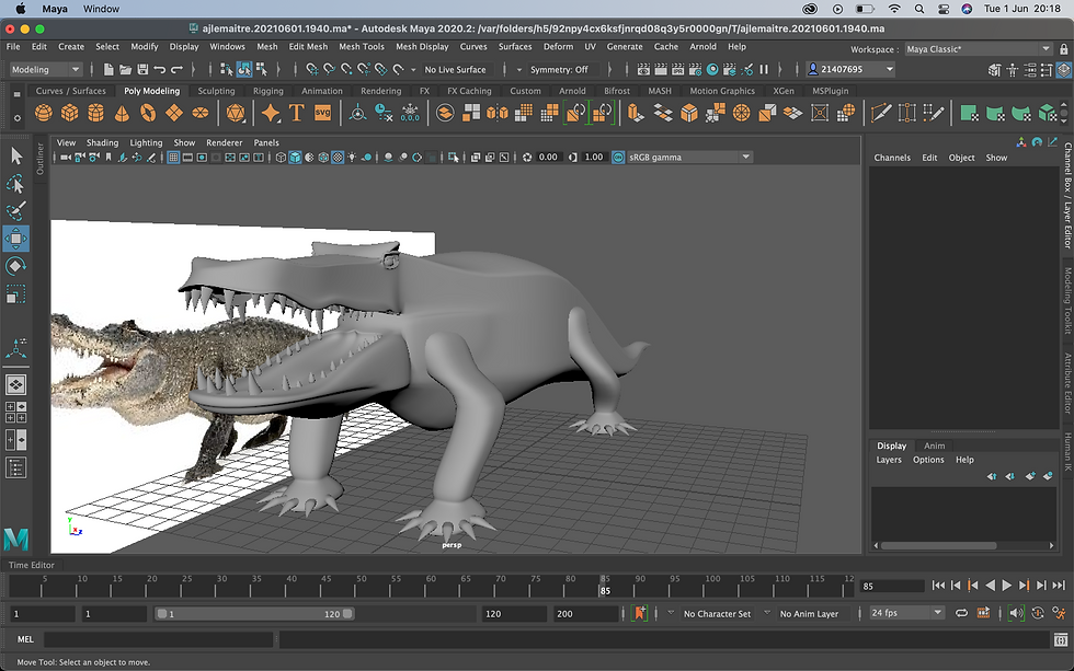 croc.png