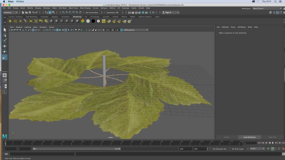 Screenshot 2020-02-13 at 10.17.58.png