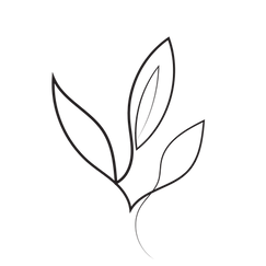 Untitled design (2).png