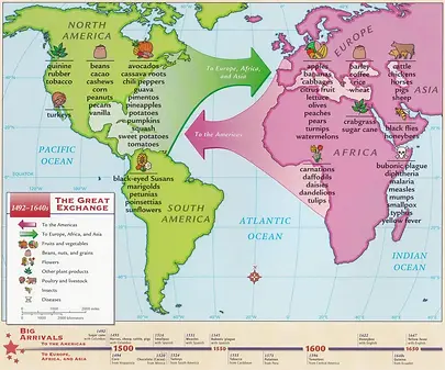 Columbian Exchange Map.webp