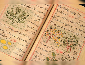 11th Century Manuscript Farah namah.jpg