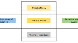 Porter's 5 forces analysis - Entering into new technology