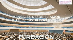 233 FUNDACIÓN CARATULA