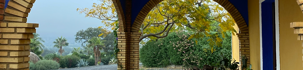 Tema 6: La Dualidad - Campo Cervero (Córdoba)