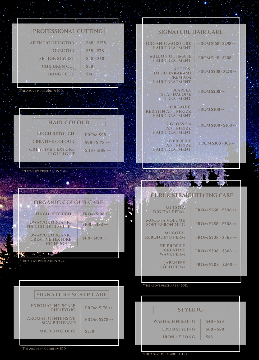 Salon Menu.png