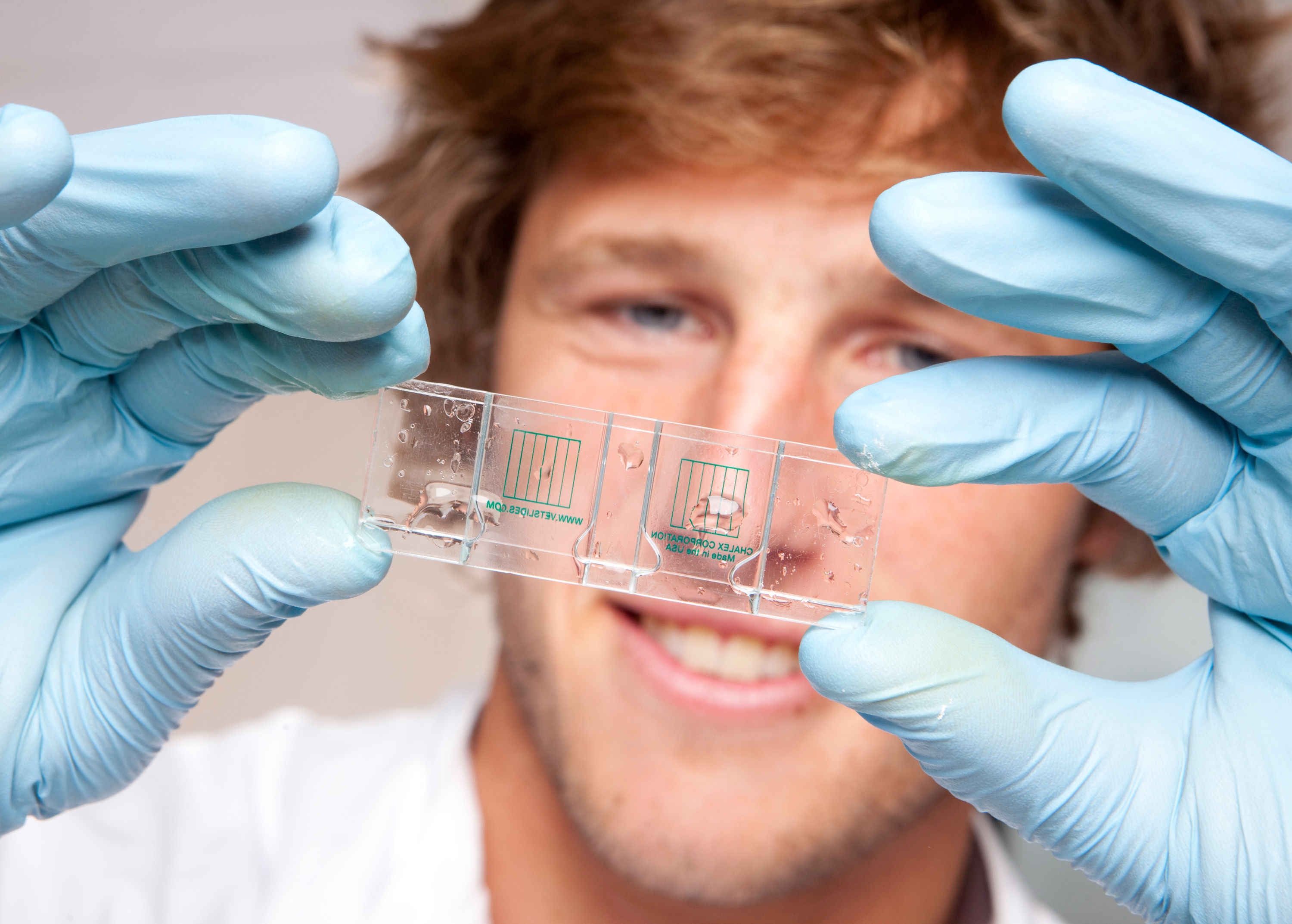 Liver Fluke & Lungworm Test from