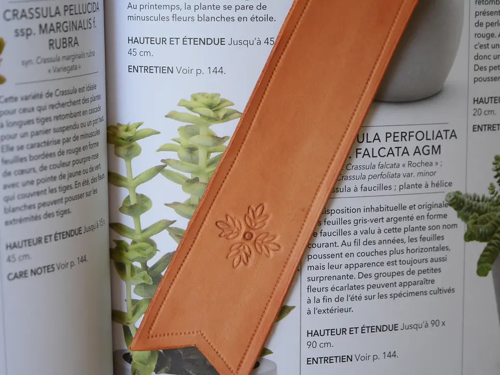 Miniature : Marque-Page Classique Motif
