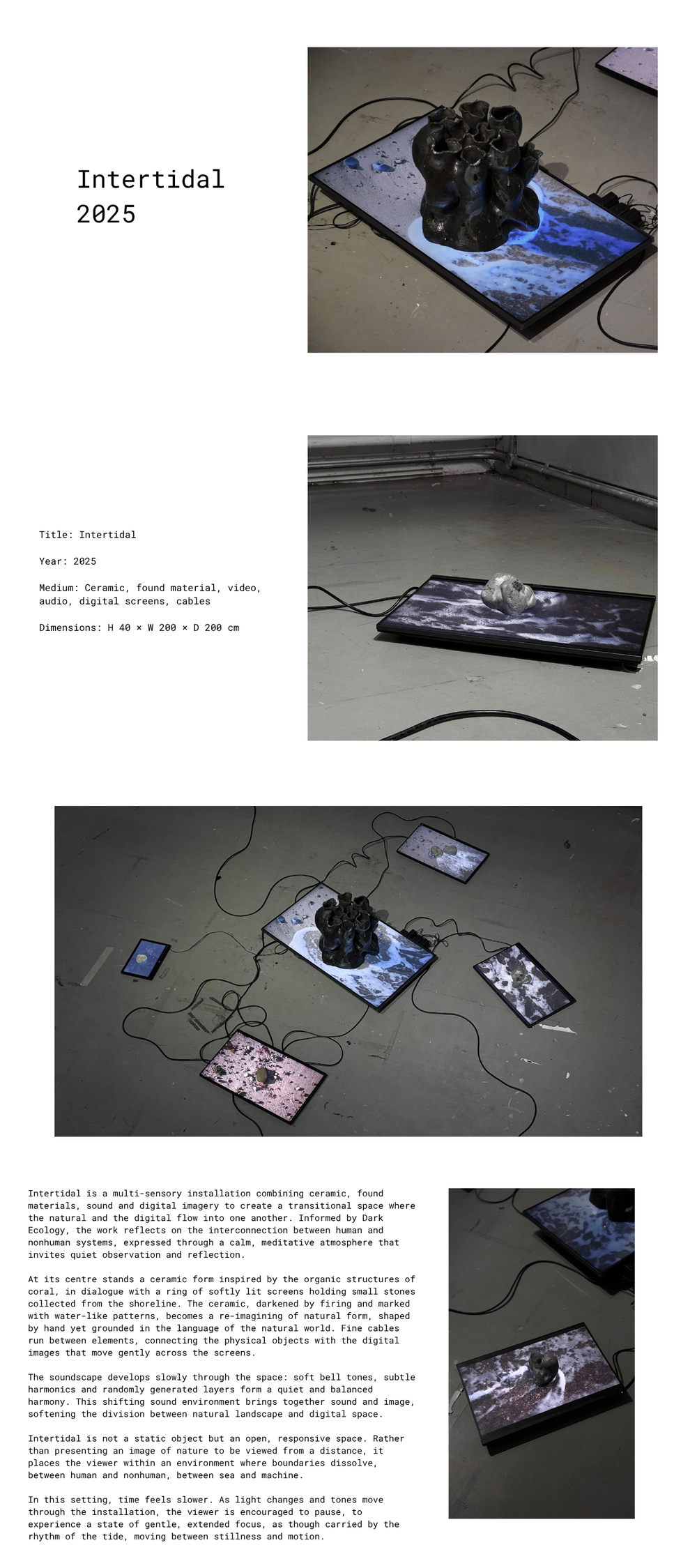 Intertidal, installation view with ceramic forms and distributed screens