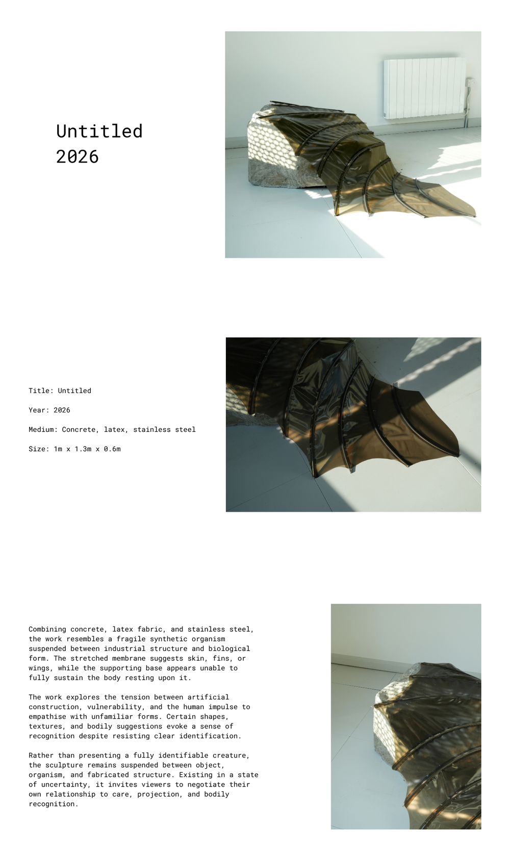 Untitled, latex membrane and metal structure resting on concrete