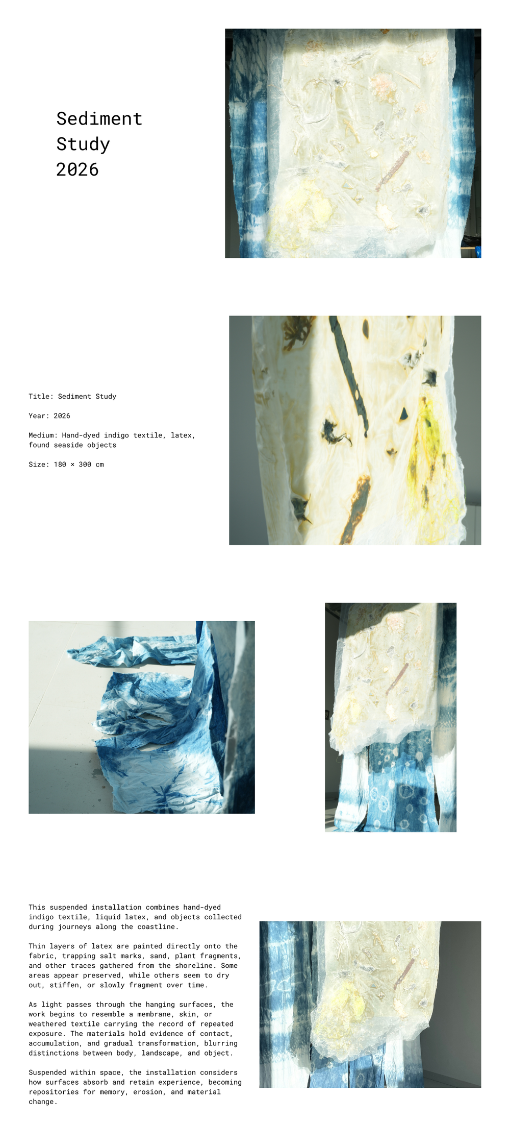 Sediment Study, suspended indigo textile and translucent latex