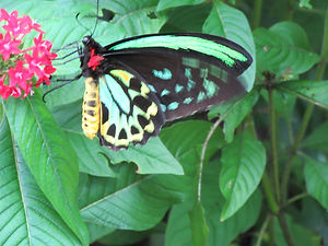 IMG_0098.jpeg