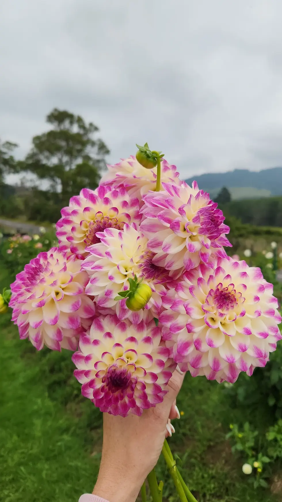 Thumbnail: Formby Art