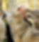 WOLF_ULV_POLARPARKEN_edited.jpg