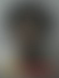 Beaufort County Sheriff's Office / ICAC Task Force Arrest