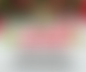 Toys for Tots Collection