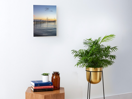 SOLD: Safety Beach Jetty Canvas Mounted Print 