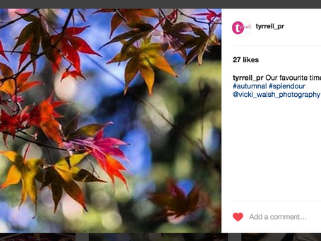 Instagram feature by Tyrrell PR