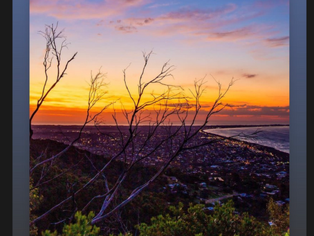 Instagram Story Feature by Arthur Seat Eagle