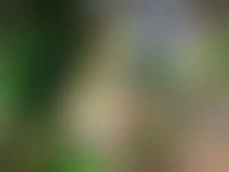 Rising - Patricia Piccinini's A Miracle Constantly Repeated