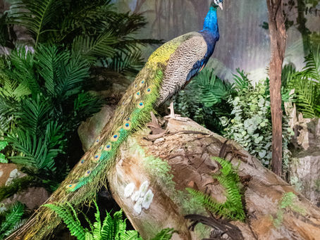 Rising - Patricia Piccinini's A Miracle Constantly Repeated