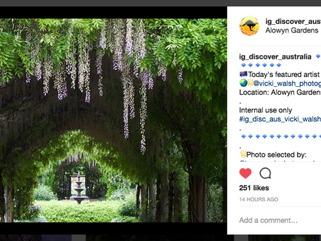 Instagram features by Ig_Discover_Australia & Melbourne_Photoblog