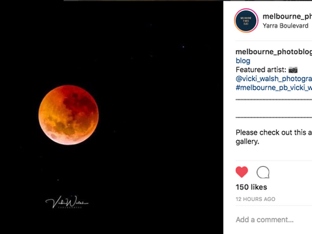 Instagram feature by Melbourne Photoblog