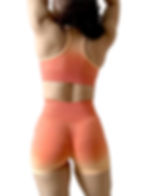 Momentum Gradient Sculpt Seamless Workout Set Orange Back