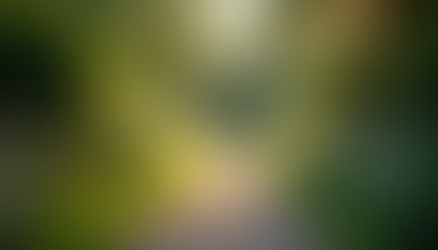 Discover the Benefits of a BioKinesiologist Near You