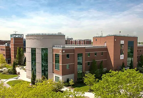 Downtown London Real Estate