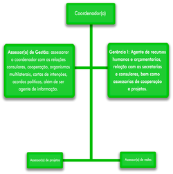 Organograma 8