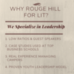Copy of Why a LIT program_ (3).png