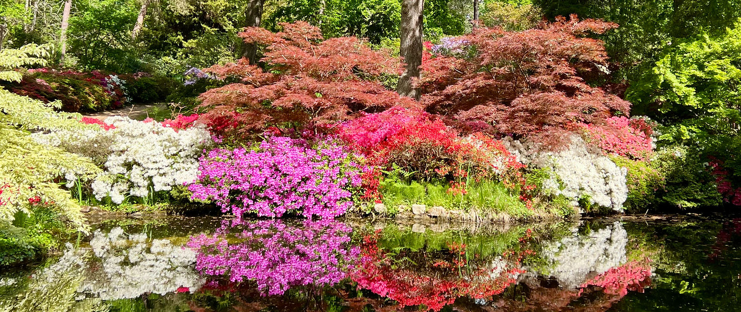 Ecosystem_pond_landscape (1)_edited.jpg
