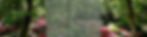 LinkedIn Banner (12)_edited.jpg