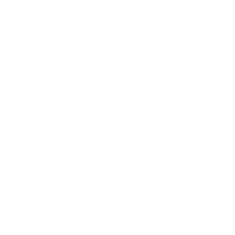 Picto-visa.png