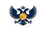 Nokic Tennis Logo