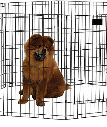 dogpen.jpg