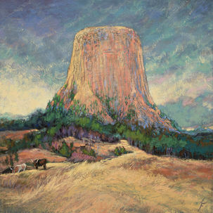 Devils Tower Encounter