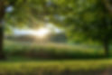 22_06_22-24_SMF_EXTERIOR_OUTDOORS_SIGN-00699_HIGH RES.jpg