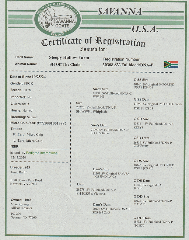 Scan_20261006.png