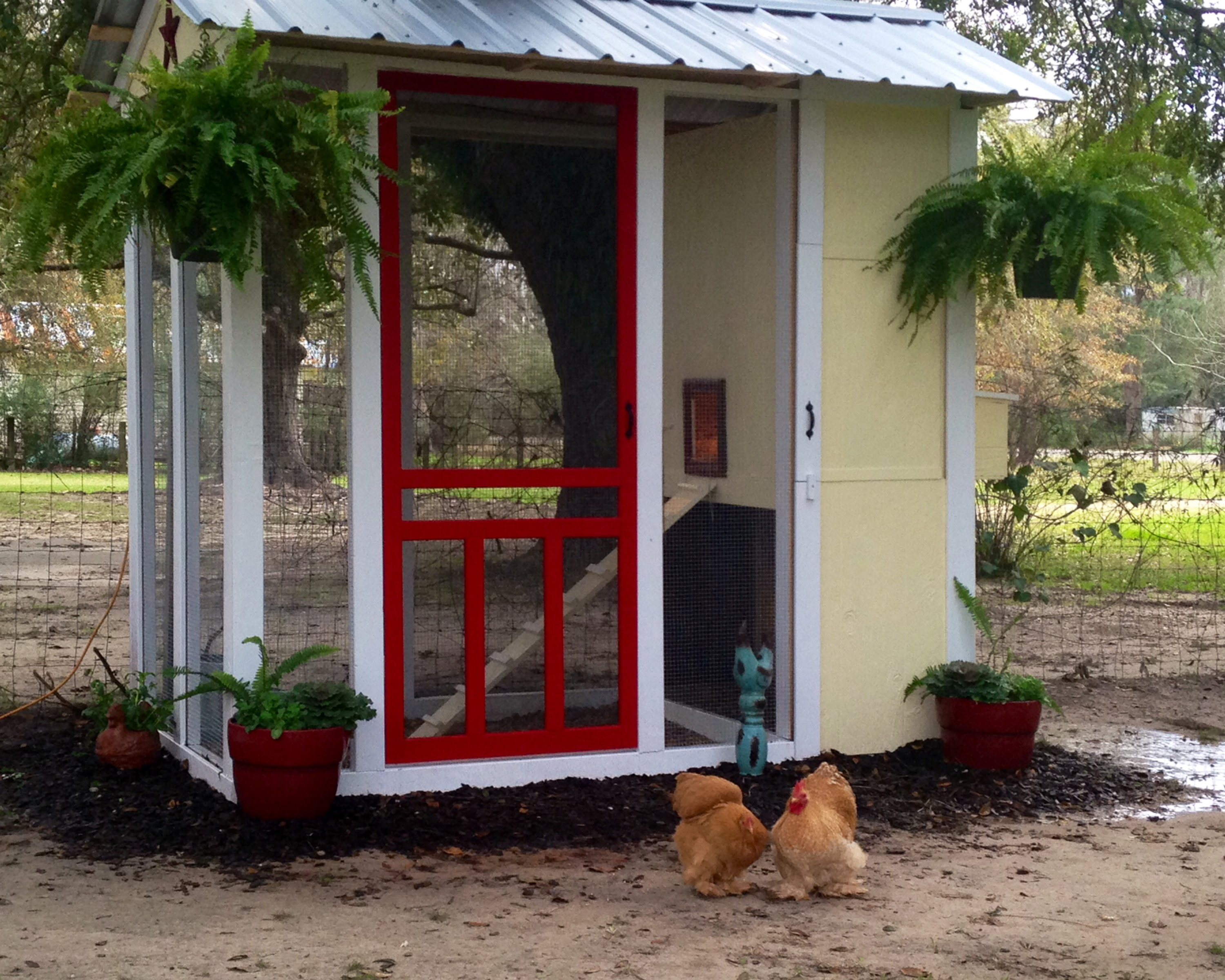 Chicken Condo