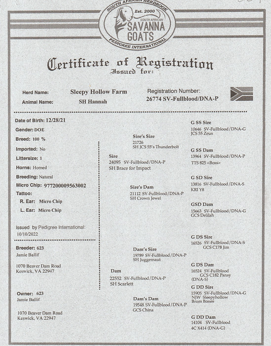 Scan_20250719.jpg