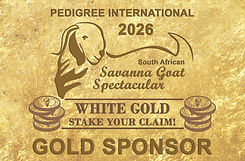gold sponsor 26.jpg