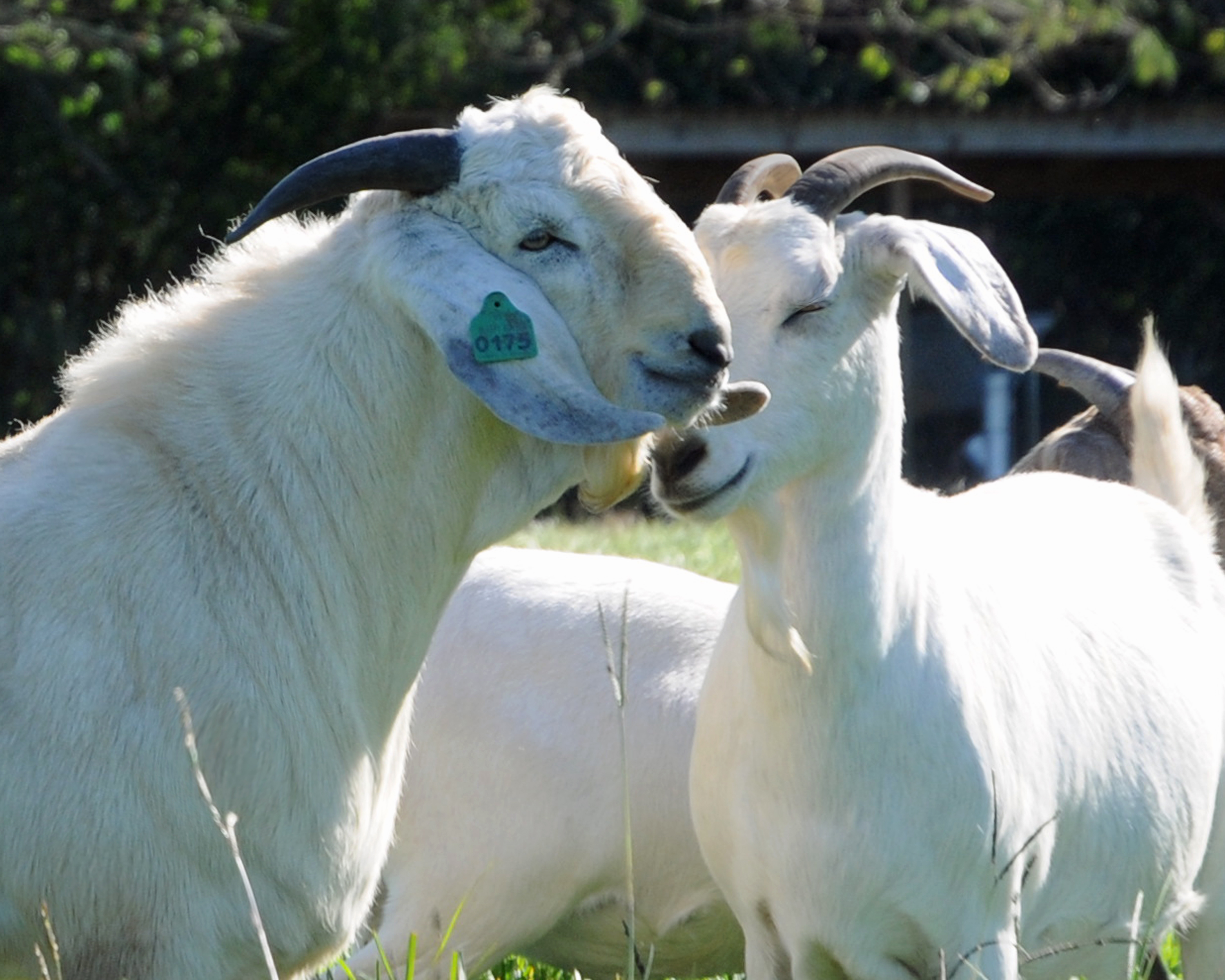 Love In The Air!
