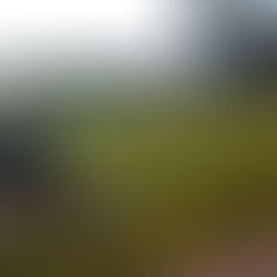 FOTBOLL TRÄNING PÅ FREDAGAR ENSKEDE IP