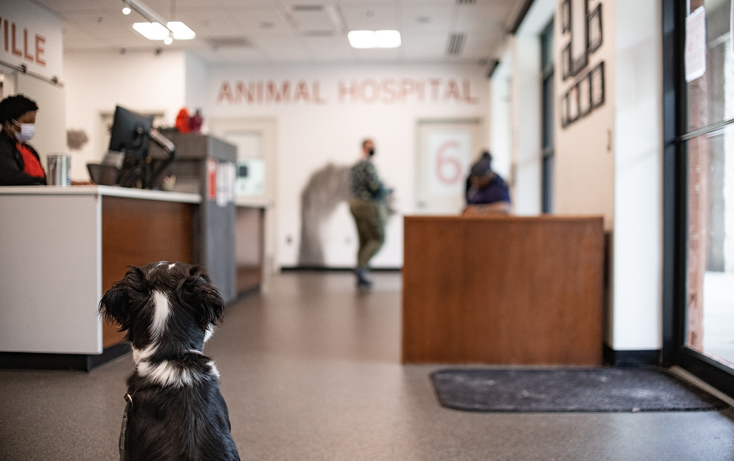 Calendar Pikesville Animal Hospital