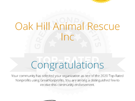 Top-Rated Nonprofit for 2020