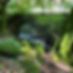 IMG_9115.jpeg