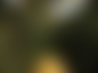 How Nature Safeguards My Creative Capacity