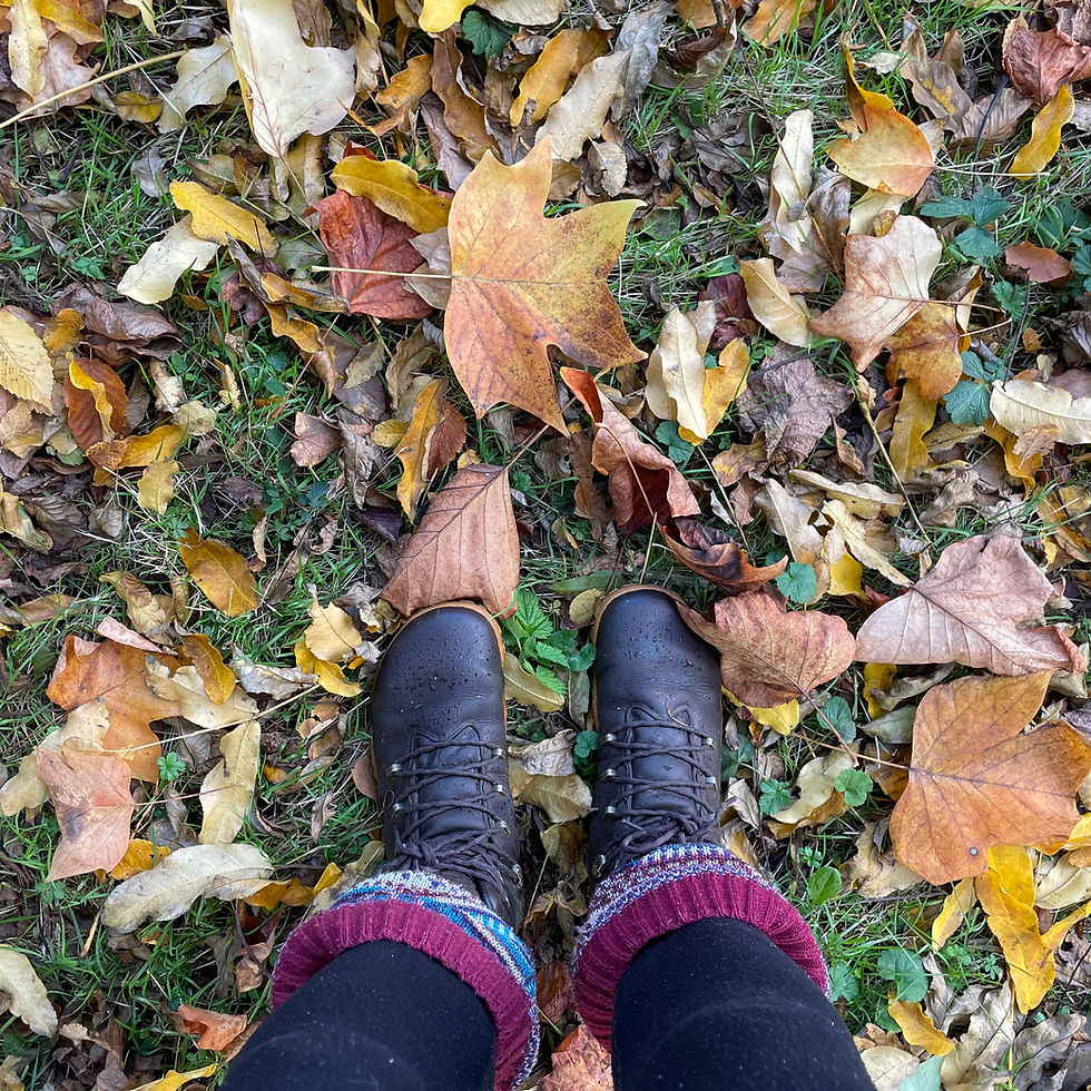 Winter boots standing on autumn leaves